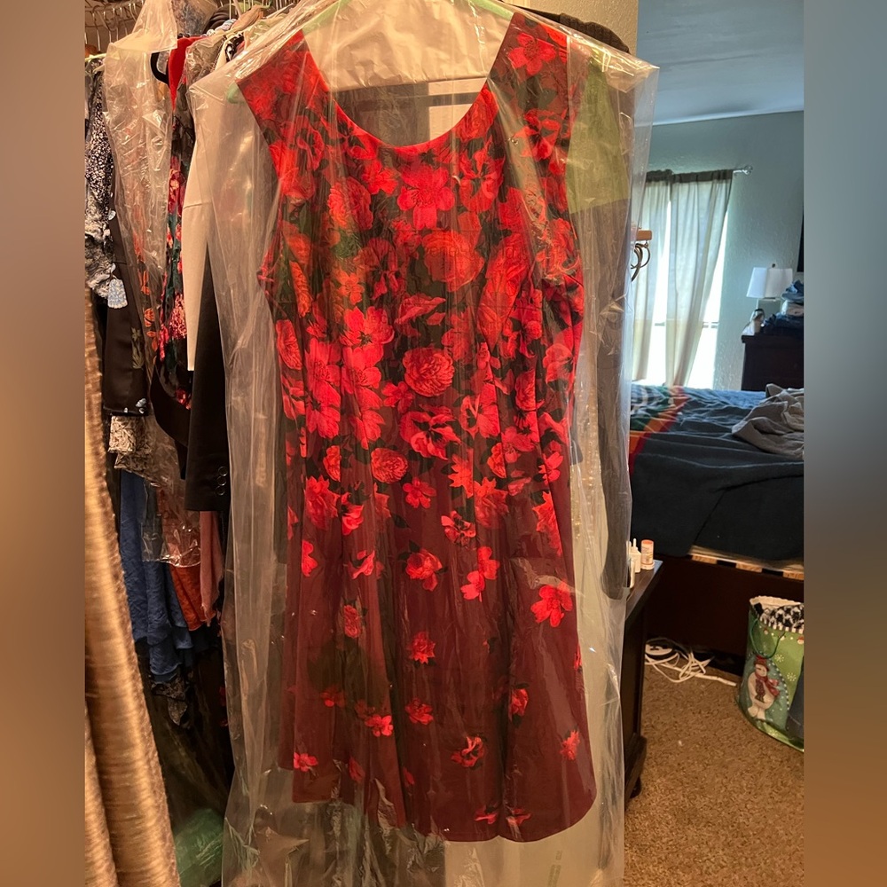 Gabby Skye Red Floral Maxi Dress